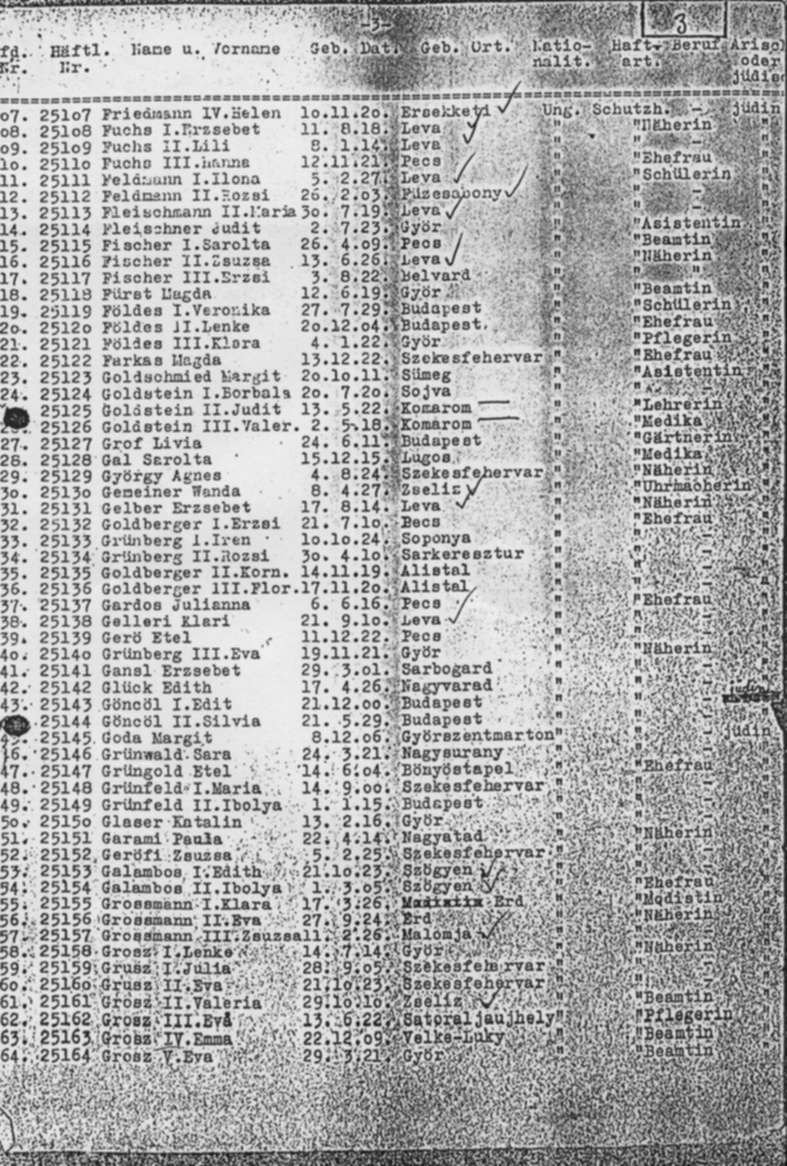 HIDAS 3.jpg (601111 bytes)