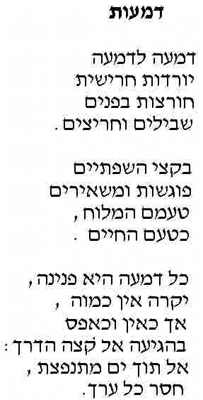 dmaot.jpg (15570 bytes)