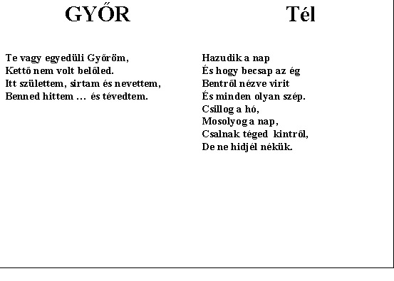 gyor copy.jpg (33468 bytes)