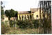 halottash sml.jpg (7621 bytes)