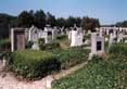 Gyor Cemetery 2s.jpg (11315 bytes)