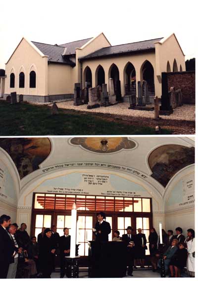 ravat1.jpg (40193 bytes)